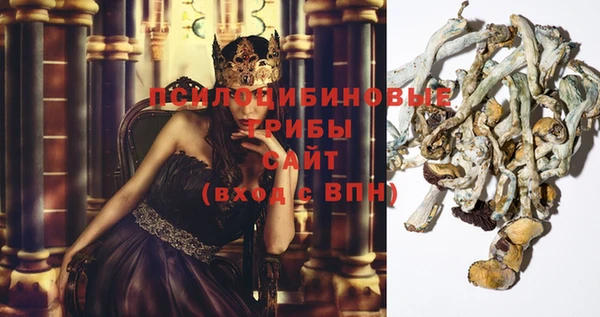 прущие грибы Арсеньев