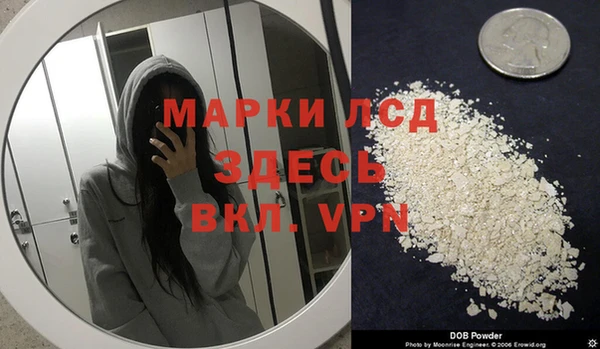 прущие грибы Арсеньев