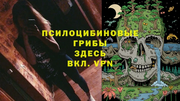 прущие грибы Арсеньев