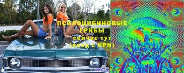 прущие грибы Арсеньев