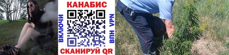 Конопля конопля  продажа наркотиков  Облучье 
